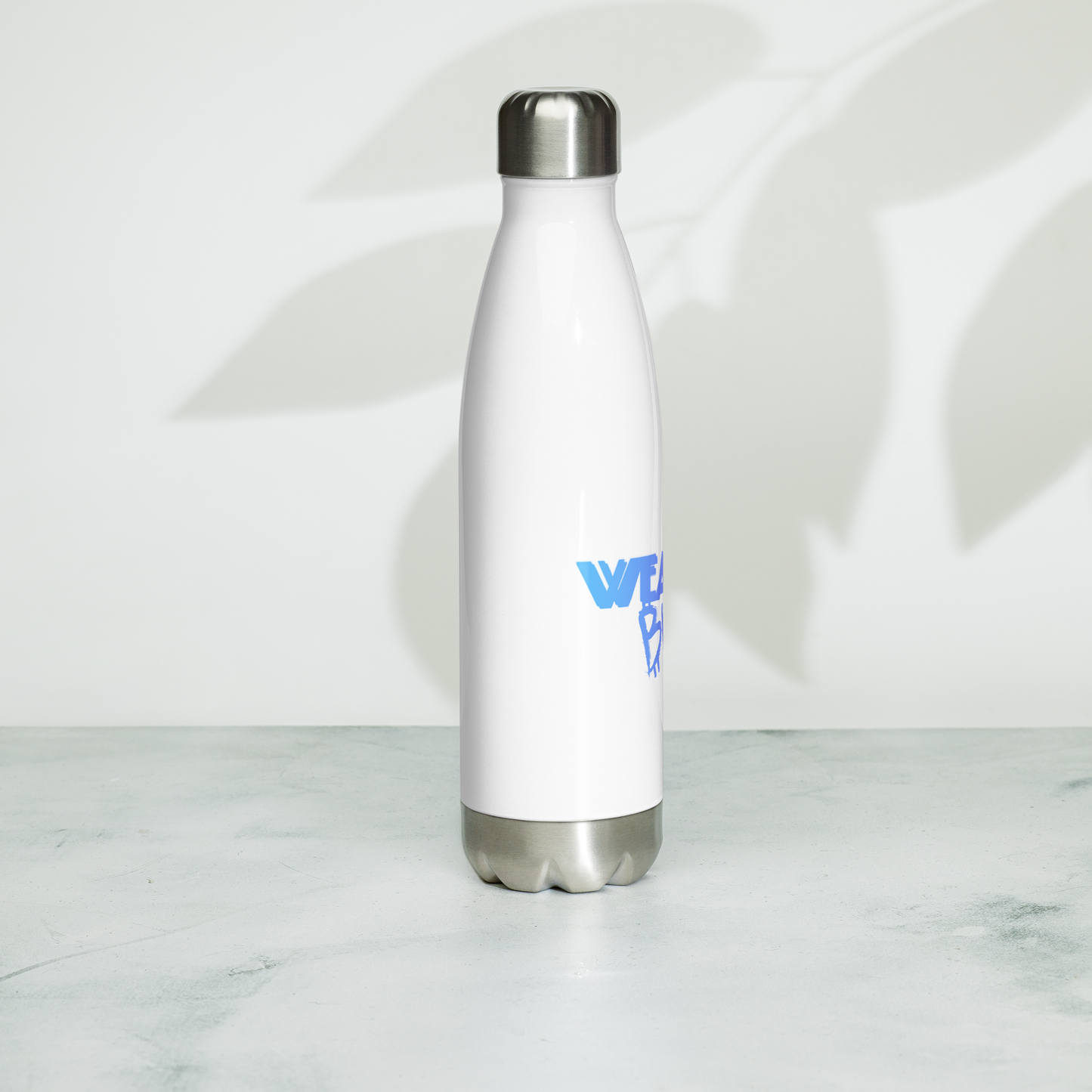 Stainless Steel Water Bottle